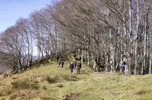 Cap det Mount 1219 m Rando65